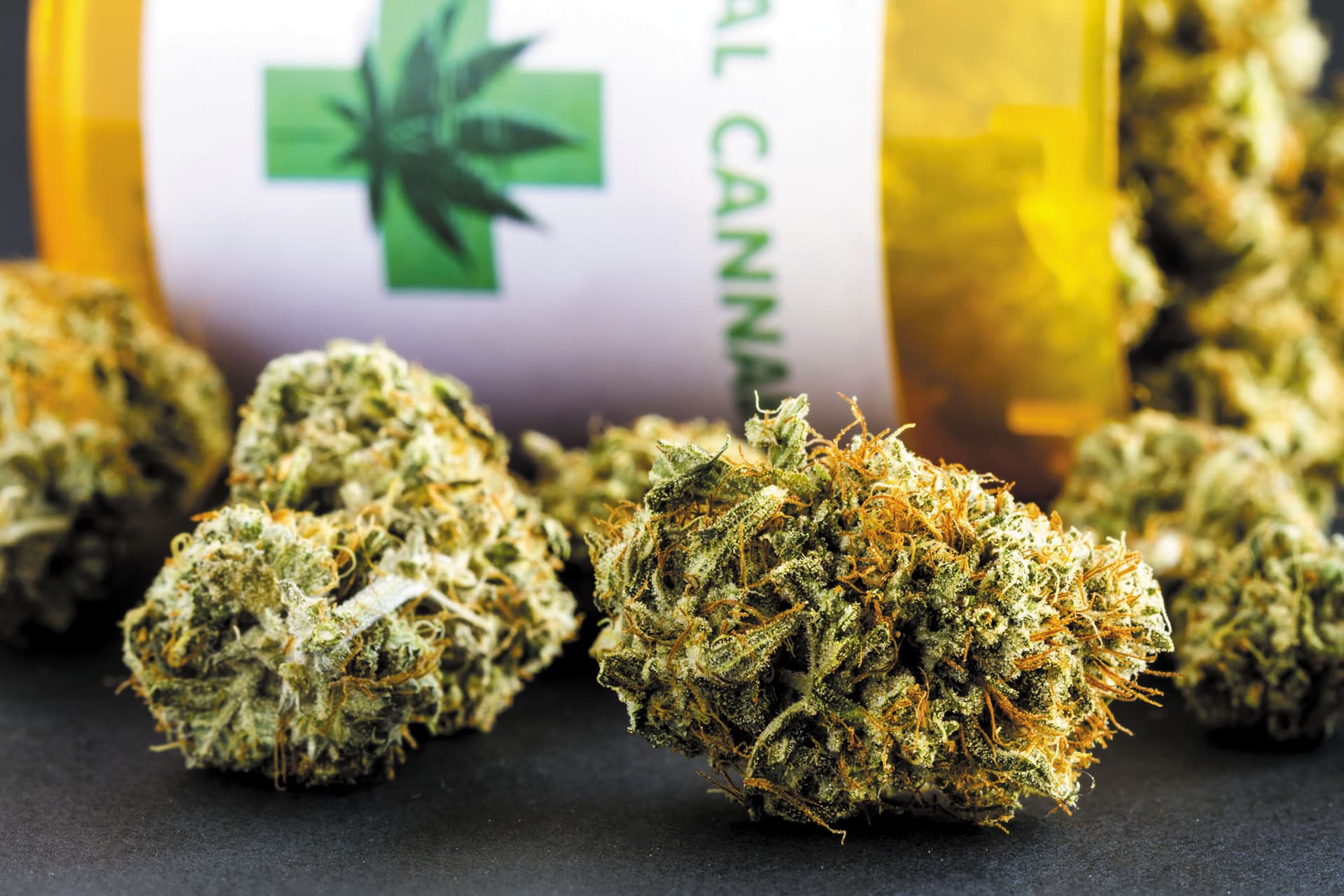 Why Medterra’s Natural Hemp Formulas Stand Out in the CBD Industry