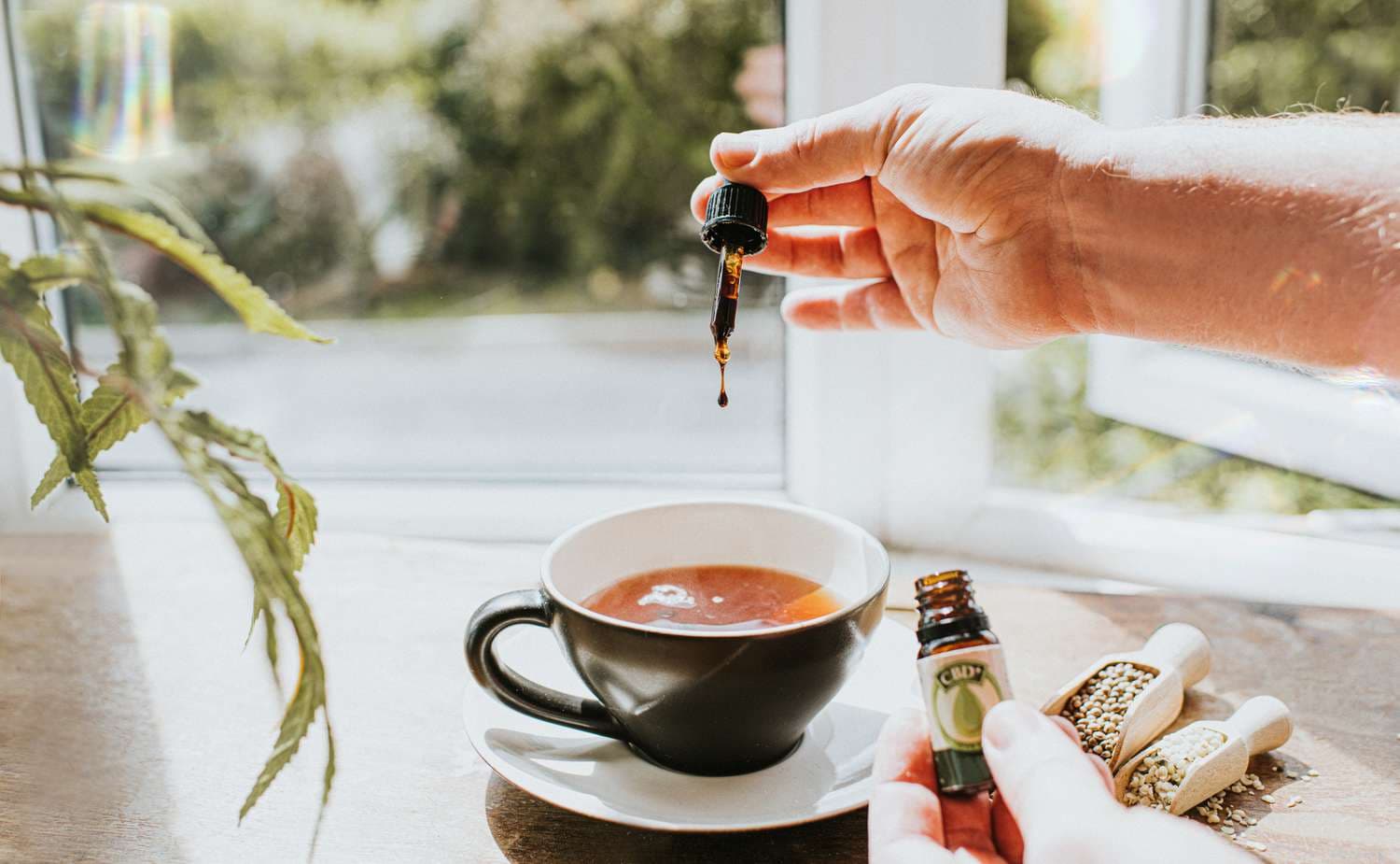 Green Care : Huiles, Fleurs, Résines et Tisane CBD pour un Bien-Être Naturel