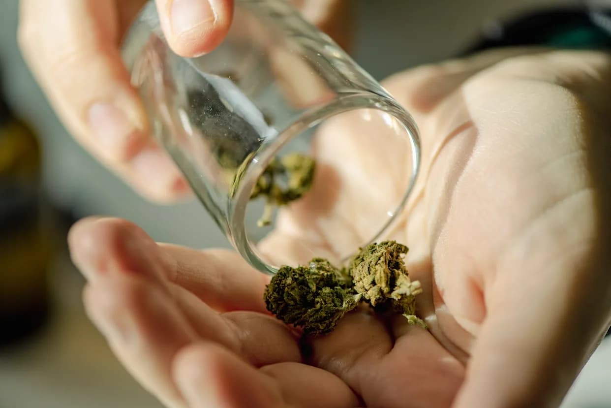 Buy Marijuana Online Europe – Premium EU-Grade Cannabis Delivered Discreetly Across the Continent