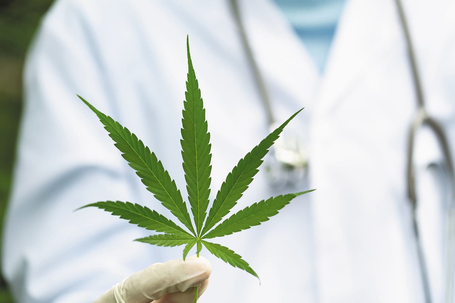 Meet Certified Medical Marijuana Doctors Lexington to Obtain Your Kentucky Medical Marijuana Card Today