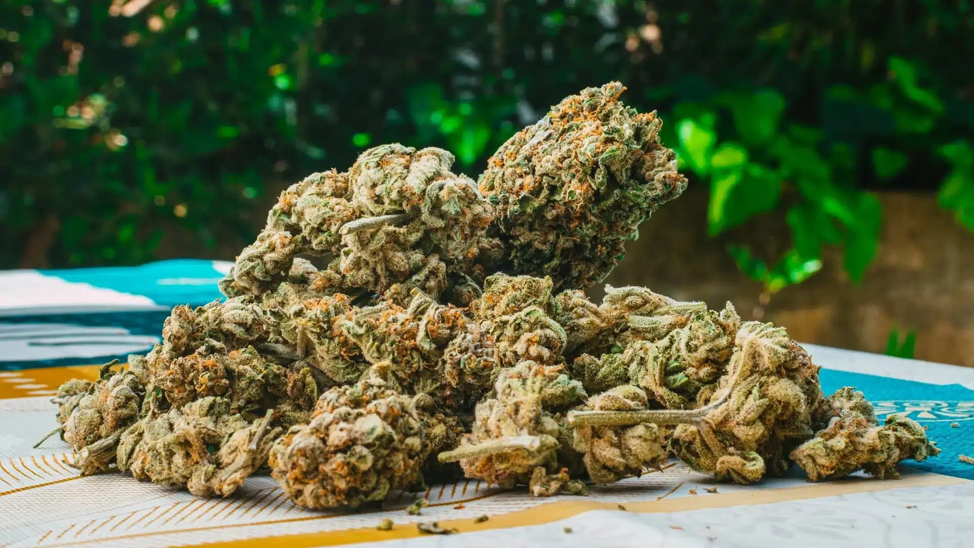 Buy delta 8 online Australia: Safe, Quality-Assured Cannabis Delivered to Your Door