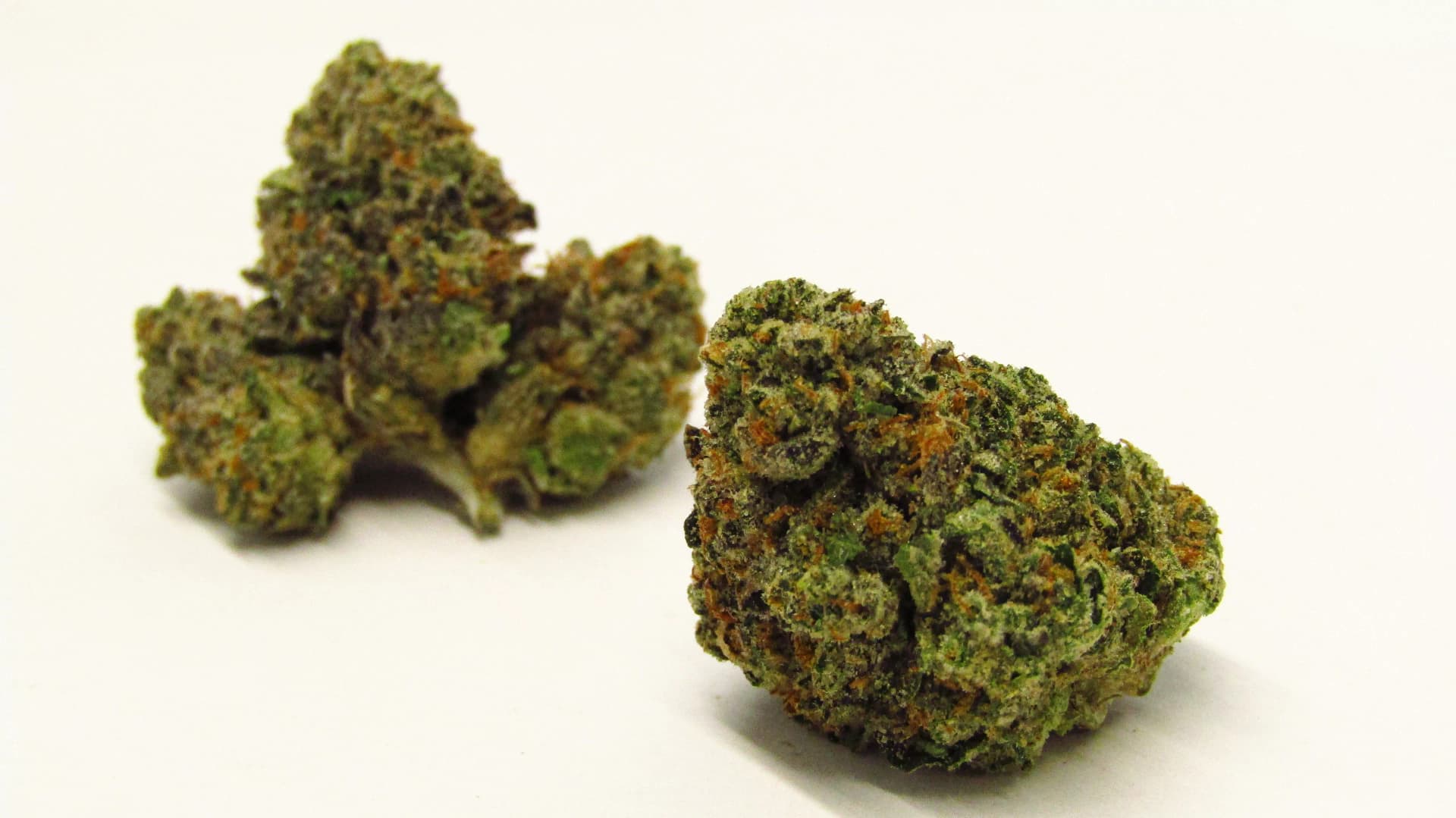 Discover the Best Weed Strains for Sale Europe – Hybrid, Indica &amp; Sativa