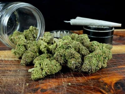 Amplia selección de flores premium con wholesale CBD flowers Spain de La Cosechera