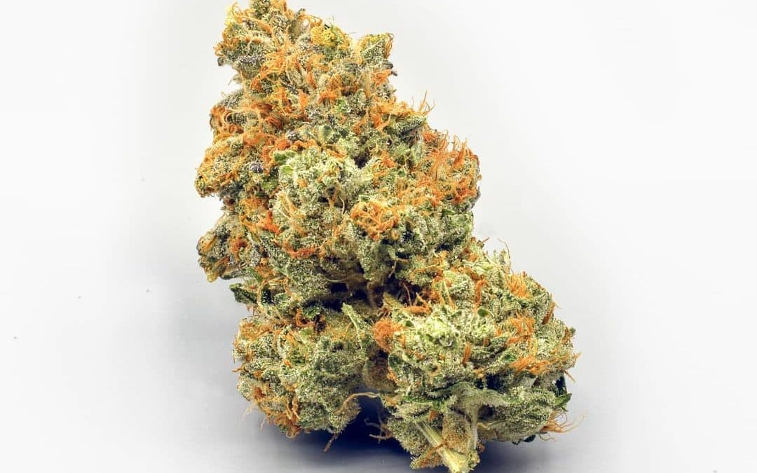 Premium Cannabis Concentrates Aussie – Shop High-Potency Extracts & Oils 24/7