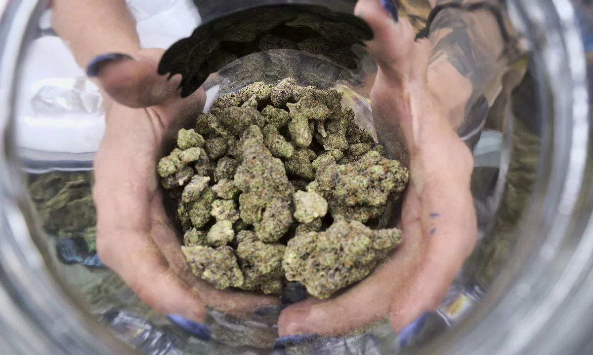 Buy Cannabis Edibles Australia Online – Order Gummies, Chocolates &amp; Infused Treats with Discreet Delivery Australia-Wide