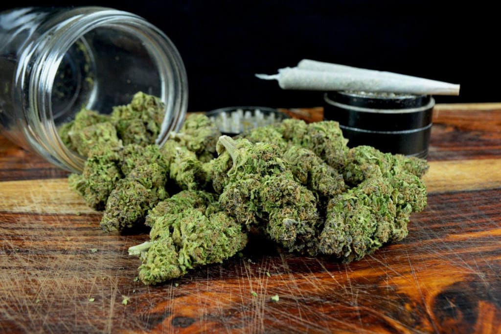Amplia selección de flores premium con wholesale CBD flowers Spain de La Cosechera
