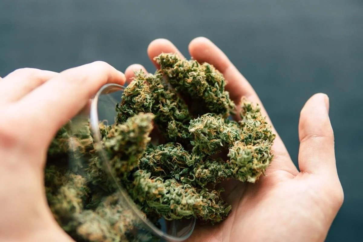 Get Your Medical Marijuana Card in Lexington, KY for Only $175 from a Certified Medical Cannabis Doctor Near You